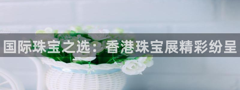 新宝5下载app