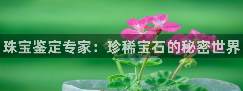 新宝5公司