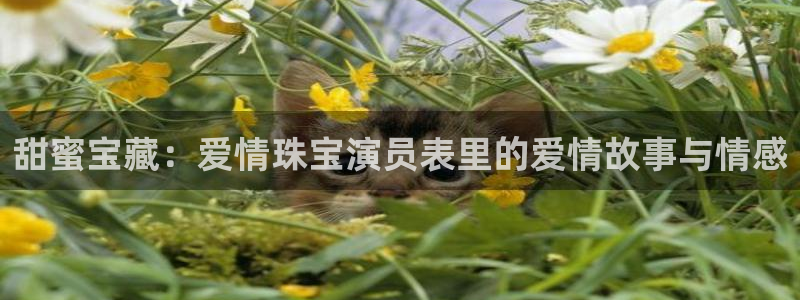 新宝5招商：甜蜜宝藏：爱情珠宝演员表里的爱情故事与情感