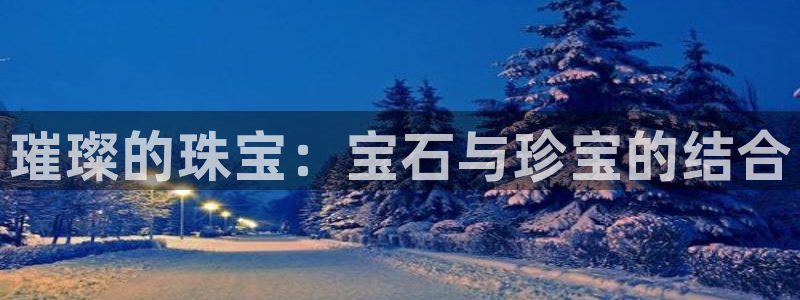 新宝5登录地址：璀璨的珠宝：宝石与珍宝的结合