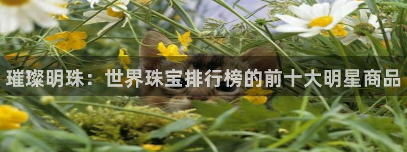 新宝5登陆：璀璨明珠：世界珠宝排行榜的前十大明星商品
