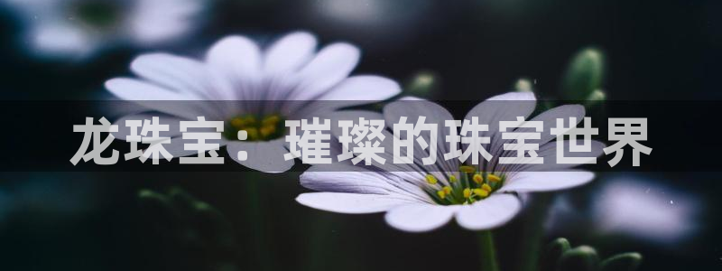 新宝5娱乐