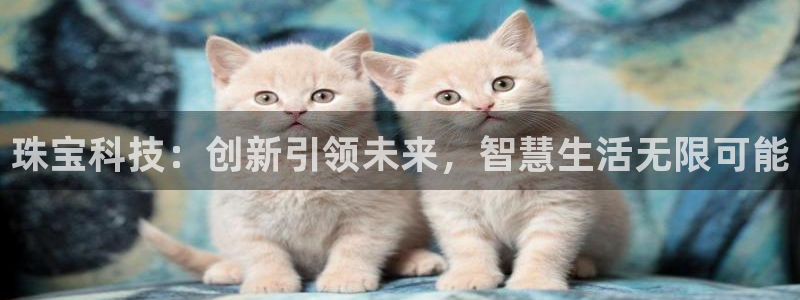 新宝5娱乐平台：珠宝科技：创新引领未来，智慧生活无限可能