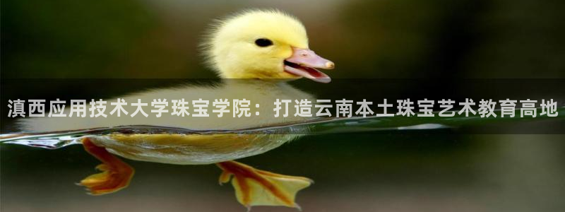新宝5 - 测速登陆：滇西应用技术大学珠宝学院：打造云南本土珠宝艺术教育高地