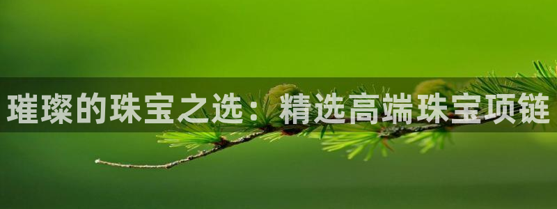 新宝5平台咋样：璀璨的珠宝之选：精选高端珠宝项链