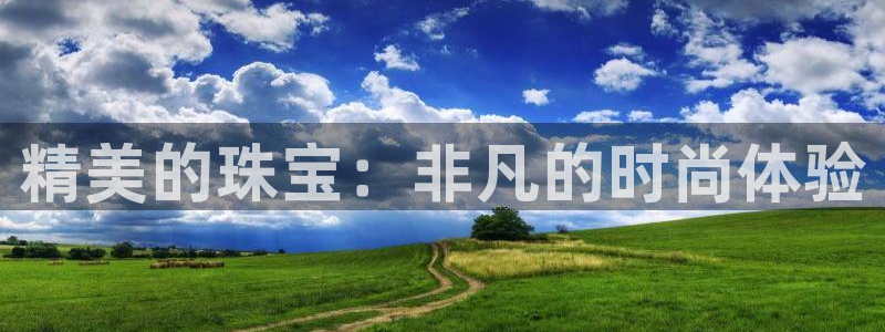 新宝rm5：精美的珠宝：非凡的时尚体验
