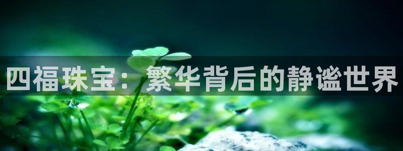 新宝5郑74OOO5：四福珠宝：繁华背后的静谧世界