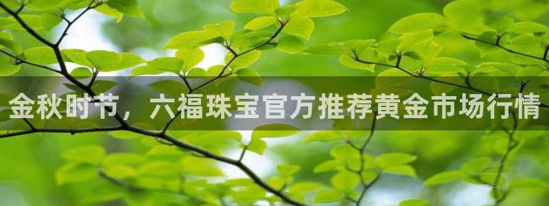 新宝5平台注册：金秋时节，六福珠宝官方推荐黄金市场行情