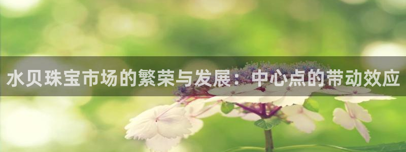 新宝5官方：水贝珠宝市场的繁荣与发展：中心点的带动效应