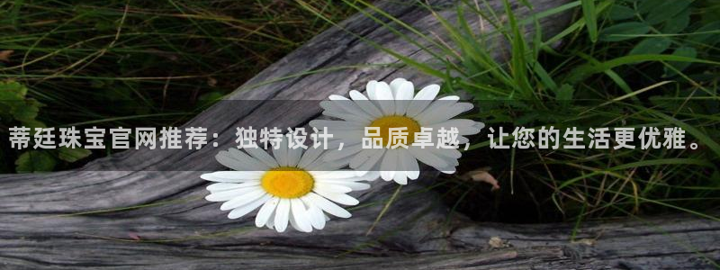 新宝5娱乐手机登录：蒂廷珠宝官网推荐：独特设计，品质卓越，让您的生活更优雅。