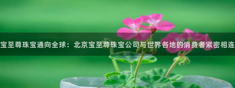 新宝5平台登陆：宝至尊珠宝通向全球：北京宝至尊珠宝公司与世界各地的消费者紧密相连