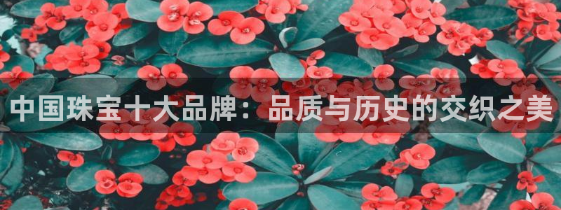 新宝注5册：中国珠宝十大品牌：品质与历史的交织之美