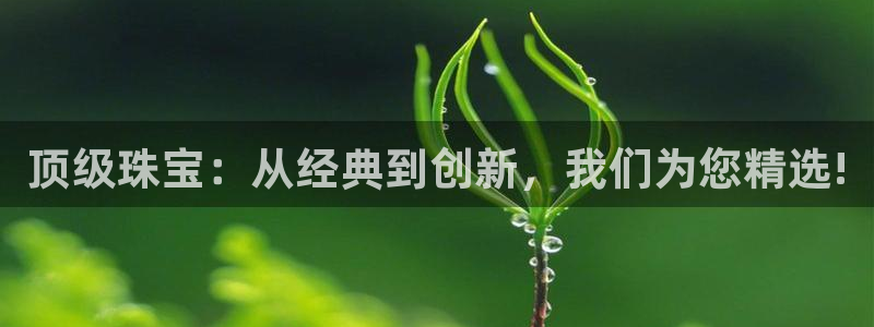新宝5_测：顶级珠宝：从经典到创新，我们为您精选!