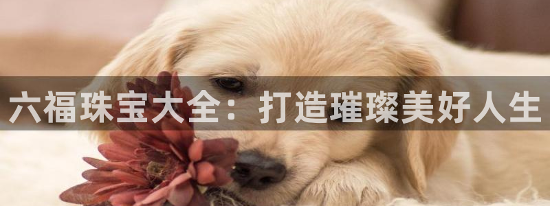 新宝5招商：六福珠宝大全：打造璀璨美好人生