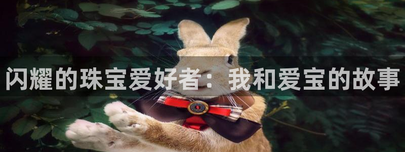 新宝5官网：闪耀的珠宝爱好者：我和爱宝的故事