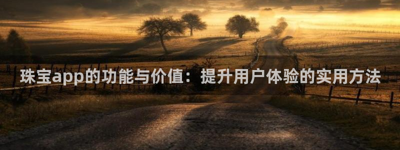 新宝5app：珠宝app的功能与价值：提升用户体验的实用方法