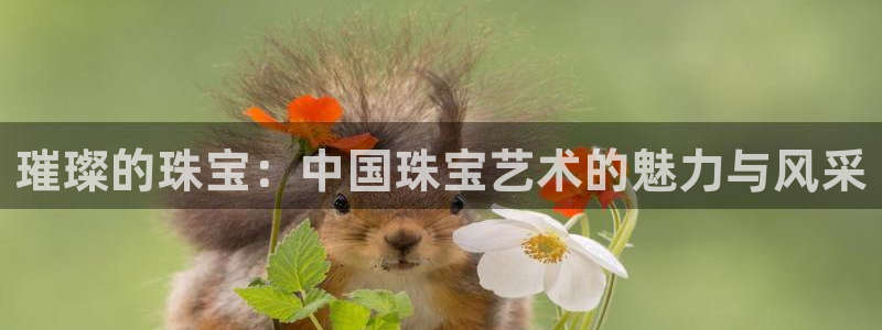 新宝5注册霸：璀璨的珠宝：中国珠宝艺术的魅力与风采