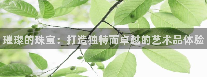 新宝5注册链接：璀璨的珠宝：打造独特而卓越的艺术品体验