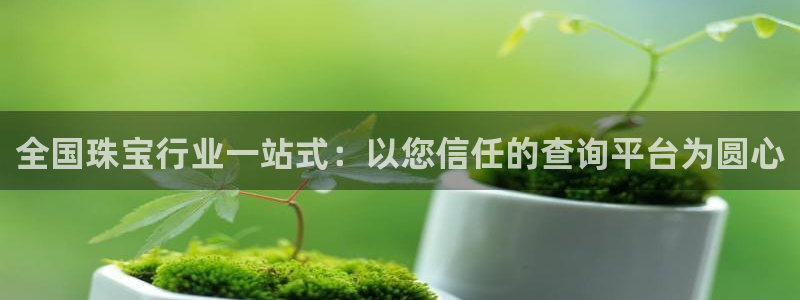 新宝奇迹GG5：全国珠宝行业一站式：以您信任的查询平台为圆心