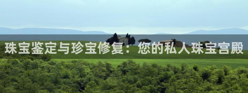新宝5登陆地址：珠宝鉴定与珍宝修复：您的私人珠宝宫殿