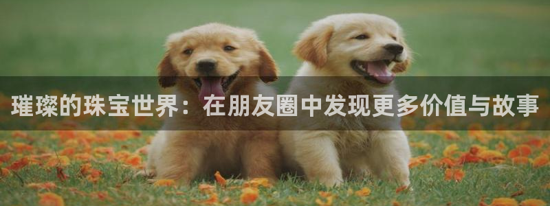有人知道新宝5么：璀璨的珠宝世界：在朋友圈中发现更多价值与故事
