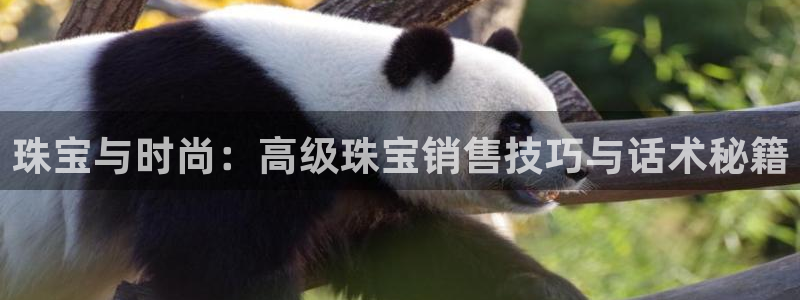 菲律宾新宝5老板：珠宝与时尚：高级珠宝销售技巧与话术秘籍