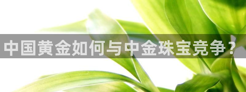 新宝5黑：中国黄金如何与中金珠宝竞争？