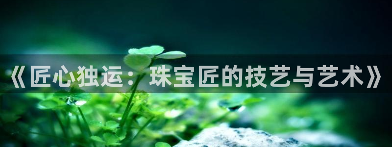 股票5G宝新