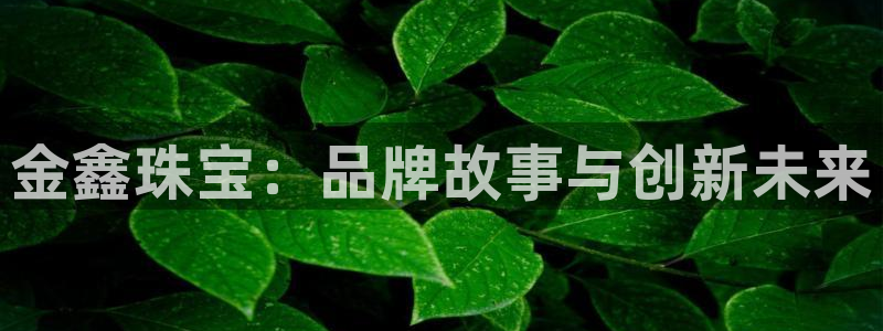 新宝5入口