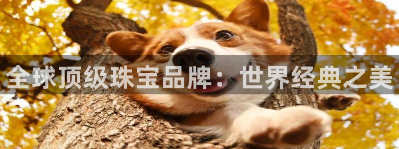 新宝5娱乐代理：全球顶级珠宝品牌：世界经典之美