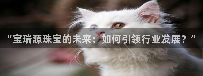 新宝5吴74OOO5：“宝瑞源珠宝的未来：如何引领行业发展？”