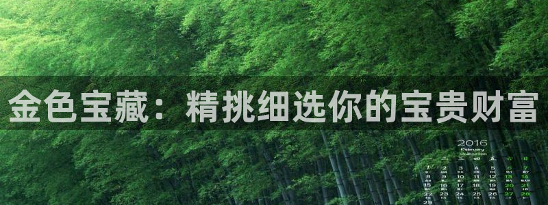 新宝5d：金色宝藏：精挑细选你的宝贵财富